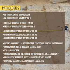 Savoirs "Pathologies" PDF