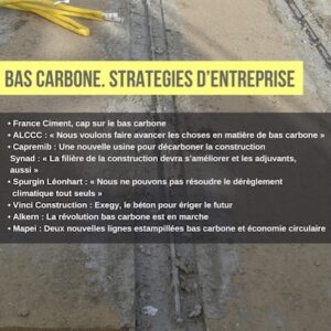 Savoirs "Bas carbone. Stratégies d'entreprise" PDF